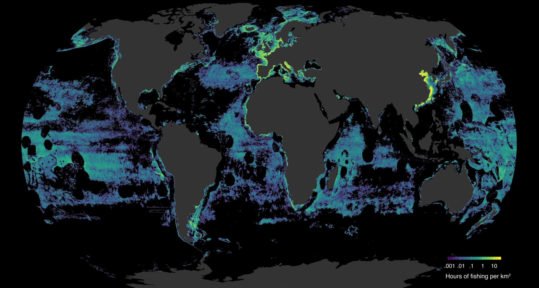 global fishing watch map
